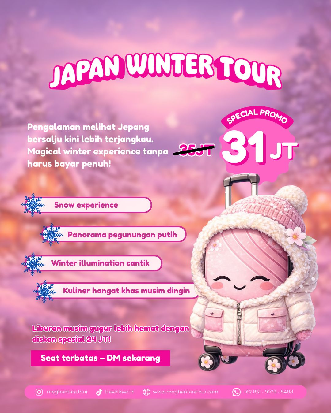Japan Winter Tour